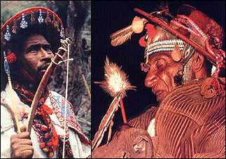 cashinahua tribe