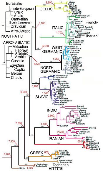 Unraveling the Tree of Life